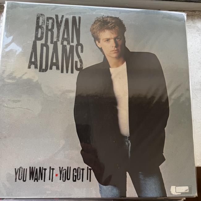 Bryan Adams – You Want It You Got It