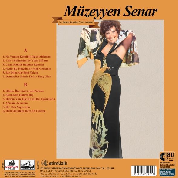 Müzeyyen Senar - Ne Yaptım Kendimi Nasıl Aldattım - Plak