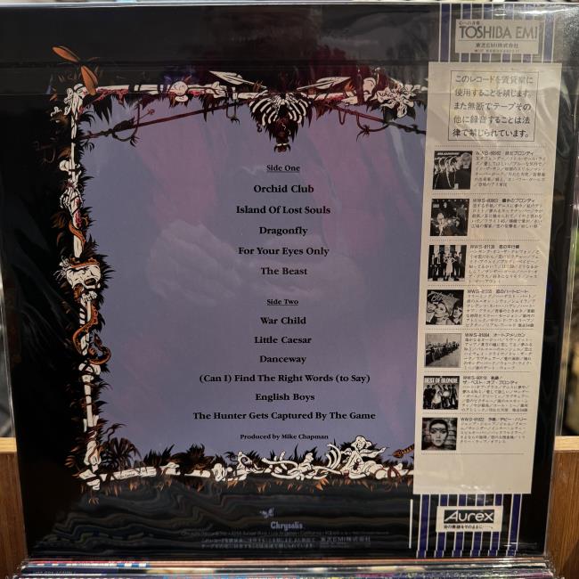 Blondie – The Hunter