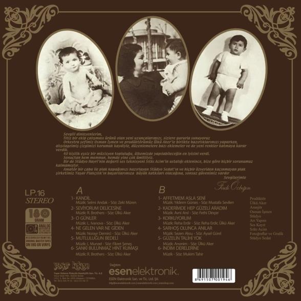 Ferdi Özbeğen - Seviyorum Delicesine 